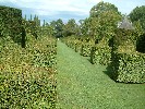 Topiary at Eyrignac